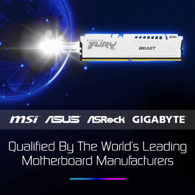 Kingston FURY Beast KF556C36BWE-16 16GB 5600MHz DDR5 U-DIMM System Memory in Default