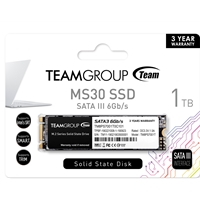 Team MS30 1TB M.2 SATA SSD