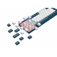 Royalaxe R68 Hot Swappable Mechanical Keyboard, 60% TKL Design, 67 Keys, 2.4GHz, Bluetooth 5.0 or Wired Connection, TTC Golden-Pink Switches, RGB, Windows and Mac Compatible, UK Layout