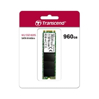Transcend M.2 2280 820S 960GB SATA SSD