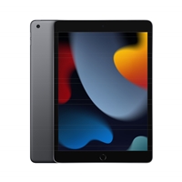 Apple iPad 9th Gen, 10.2 Inch Screen, 256GB, Wi-Fi, Space Grey