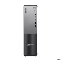 Lenovo ThinkCentre neo 55s G6 13G00005UK Small Form Factor PC