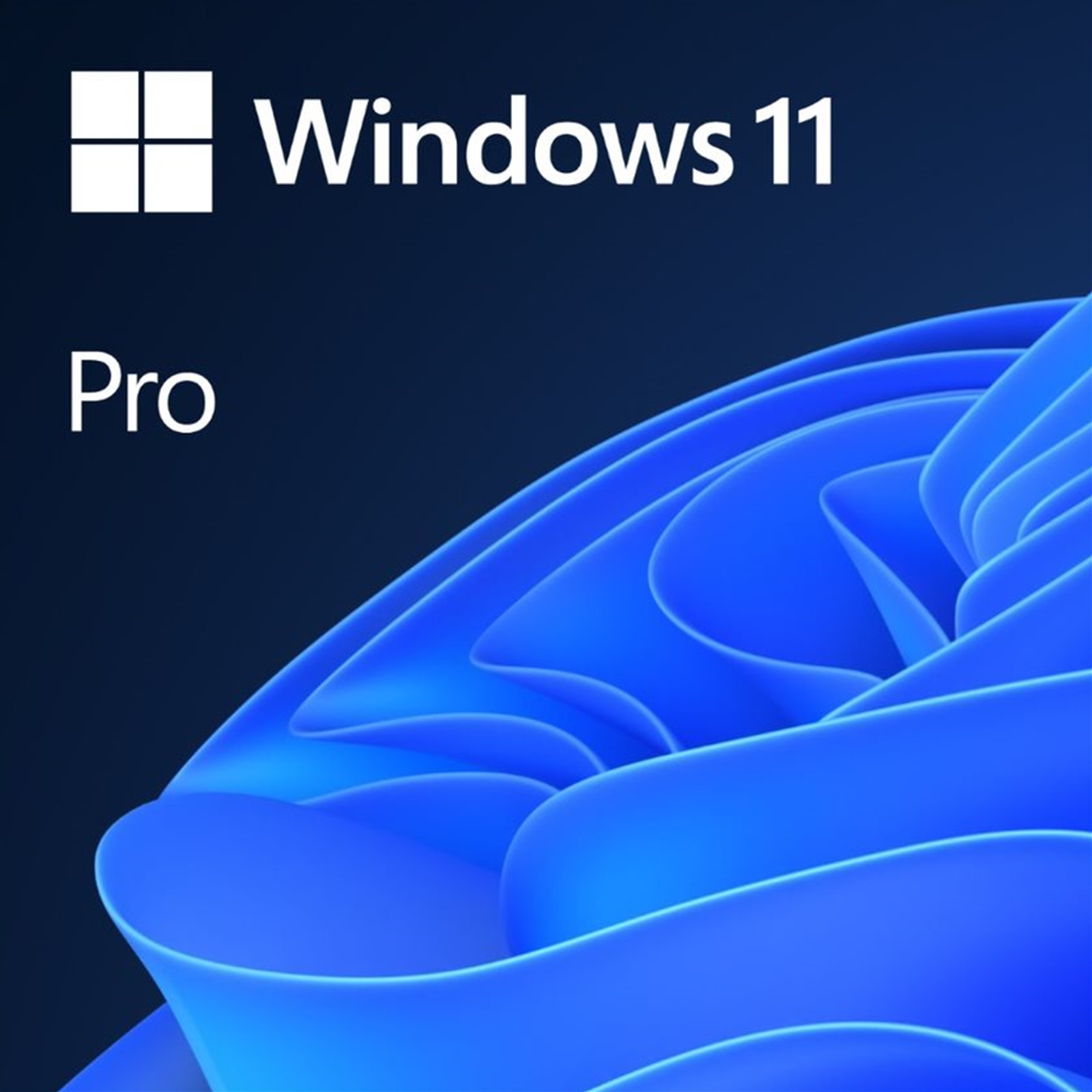 (image for) Microsoft Windows 11 Professional 64bit English OEI DVD Operating Software OEM