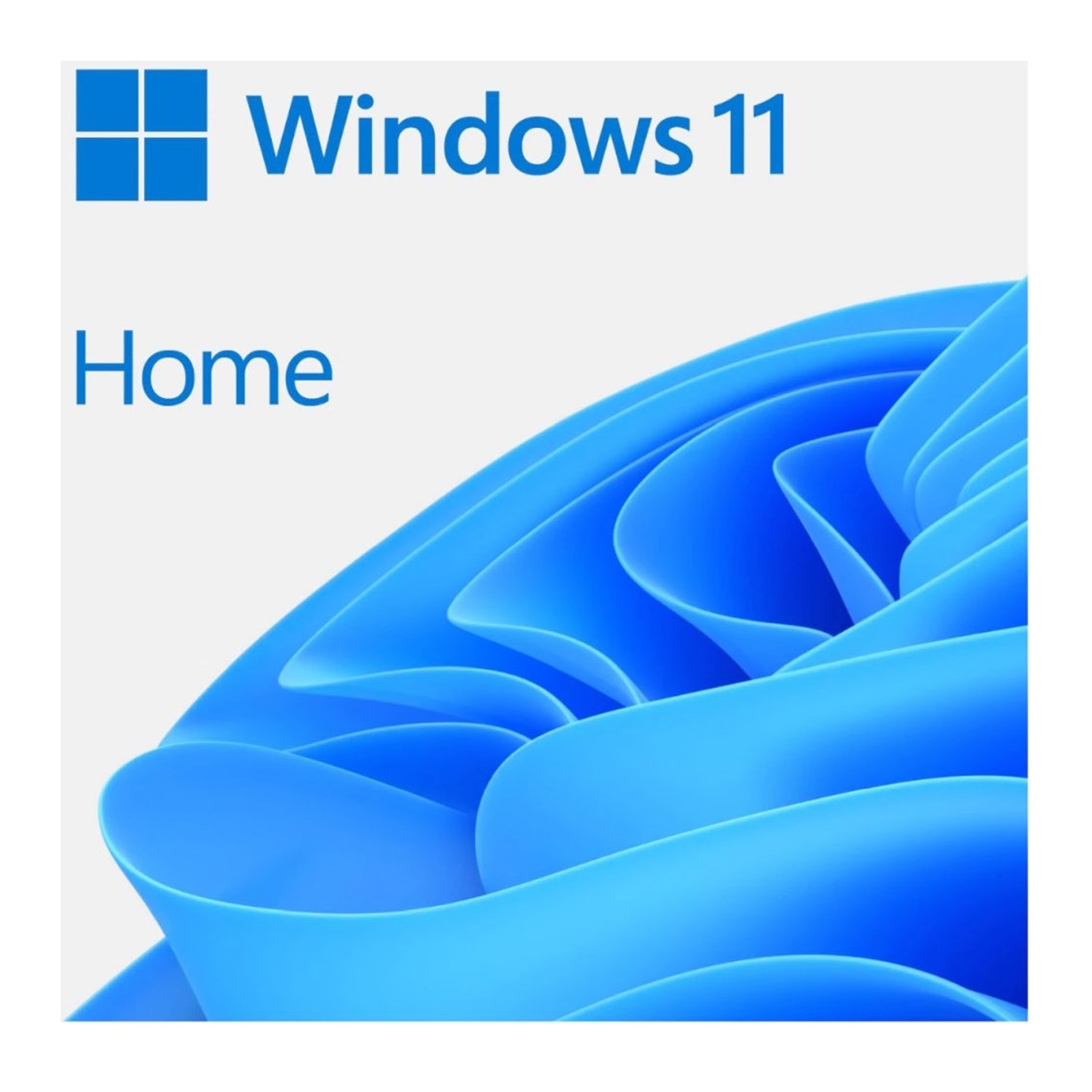 (image for) Microsoft Windows 11 Home 64bit English USB Flash Drive