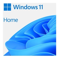 Microsoft Windows 11 Home 64bit English Usb Flash Drive Haj-00090 - Tgt01