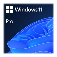Microsoft Windows 11 Professional 64bit English USB Flash Drive